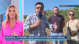 Arcidosso è in emergenza: un branco di circa 20 cinghiali thumbnail