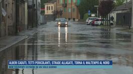 Alberi caduti, tetti pericolanti, strade allagate, torna il maltempo al nord thumbnail