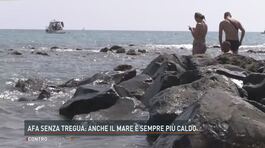 Afa senza tregua: anche il mare è sempre più caldo thumbnail