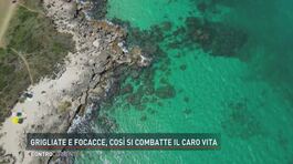 Voglia di mare! thumbnail
