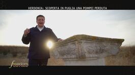Herdonia: scoperta in Puglia una Pompei perduta thumbnail