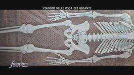 Viaggio nelle ossa dei giganti thumbnail
