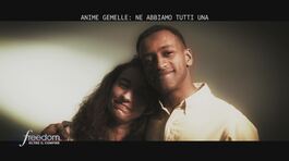 Anime gemelle: ne abbiamo tutti una thumbnail