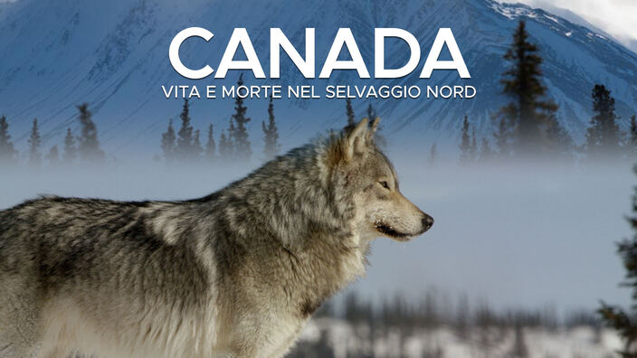 Canada - Vita e morte nel selvaggio nord