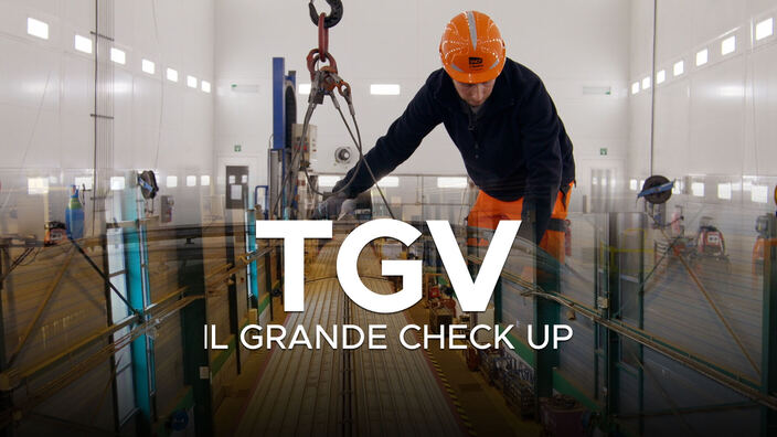 Tgv - Il grande check up