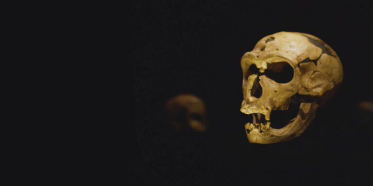 Focus A tavola con l'uomo di Neanderthal
