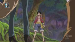 Iniziano gli scontri - Luffy vs il popolo dei Visoni!