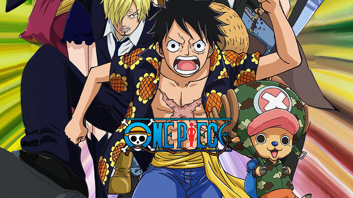 One Piece 16
