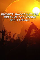 Ep. 1 - Gli animali della giungla