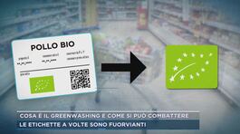 Cosa è il greenwashing e come si può combattere thumbnail