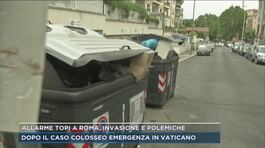 Allarme topi a Roma, invasione e polemiche thumbnail