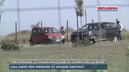Trevignano, la piantumazione al campo delle rose thumbnail
