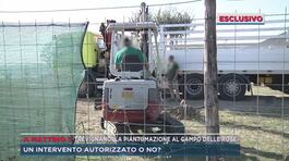 Trevignano, la piantumazione al campo delle rose thumbnail