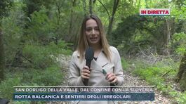 San Dorligo della Valle, dalla frontiera con la Slovenia thumbnail