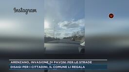 Roma, nel traffico del raccordo anulare thumbnail