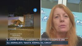 Gli animalisti: "Basta animali al circo" thumbnail