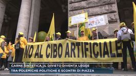 Carne sintetica, il divieto diventa legge thumbnail
