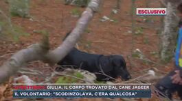 Giulia, il corpo trovato dal cane Jageer thumbnail