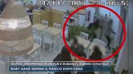 Napoli, irrompono in un pub e rubano l'albero di natale thumbnail