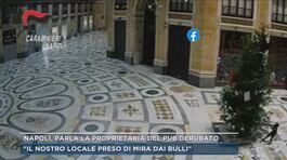 Napoli, il furto dell'albero di natale thumbnail