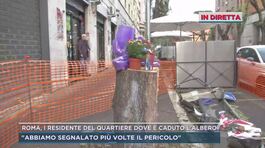Roma, stava passeggiando ed è stata travolta da un albero thumbnail