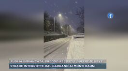 Puglia imbiancata, freddo record e bufere di neve thumbnail