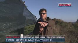 Trevignano, un telo verde per coprire Gisella thumbnail