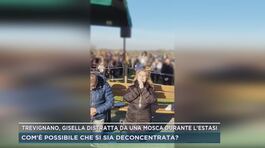 Trevignano, l'estasi di Gisella è autentica? thumbnail