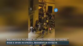 Malamovida Palermo, allarme sicurezza in centro thumbnail