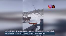 Alta Badia, cavalli corrono all'impazzata sulla neve thumbnail