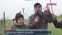 Trevignano, in vendita il kit contro il maligno thumbnail