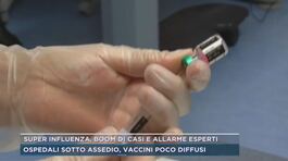 Super influenza, boom di casi e allarme esperti thumbnail