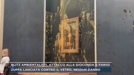 Blitz ambientalisti, attacco alla Gioconda a Parigi thumbnail