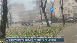 Bologna, progetto scuola e abbattimento alberi thumbnail