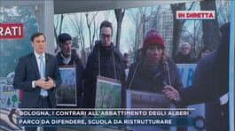 Bologna, in diretta dal parco degli alberi da abbattere thumbnail
