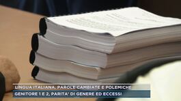 Lingua italiana, parole cambiate e polemiche thumbnail
