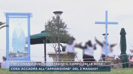 Trevignano, dissequestrato il campo delle rose thumbnail