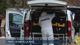 Omicidio Giulia Cecchettin, come è stata uccisa da Filippo Turetta? thumbnail