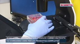 Roma, dal laboratorio che produce carne coltivata thumbnail