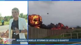 Schianto Caselle, il mistero dell'impatto con gli uccelli thumbnail