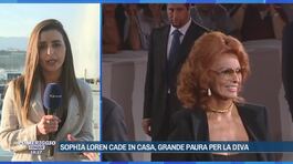 Sophia Loren cade in casa, grande paura per la diva thumbnail