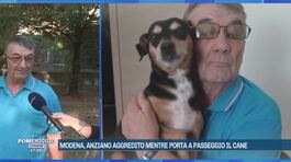 Modena, anziano aggredito mentre porta a passeggio il cane thumbnail