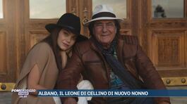 Albano, il leone di Cellino di nuovo nonno thumbnail