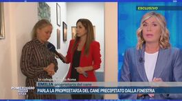 Parla la proprietaria del cane precipitato dalla finestra thumbnail