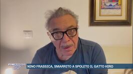 Nino Frassica, smarrito a Spoleto il gatto Hiro thumbnail