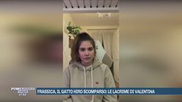 Frassica, il gatto Hiro scomparso: le lacrime di Valentina thumbnail