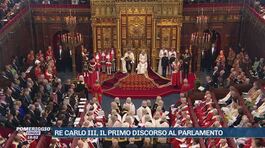 Re Carlo III, il primo discorso al Parlamento thumbnail