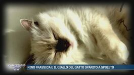 Nino Frassica e il giallo del gatto sparito a Spoleto thumbnail
