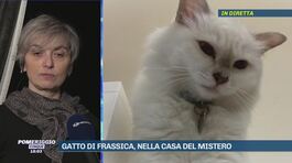 Gatto di Frassica, nella casa del mistero thumbnail