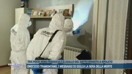 Omicidio Tramontano, i messaggi di Giulia la sera della morte thumbnail